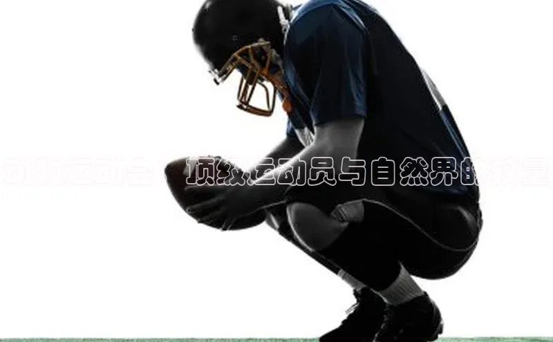 动物运动会：顶级运动员与自然界的较量